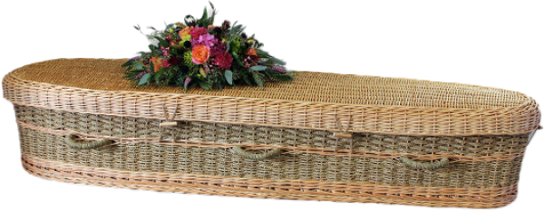 renewable seagrass casket