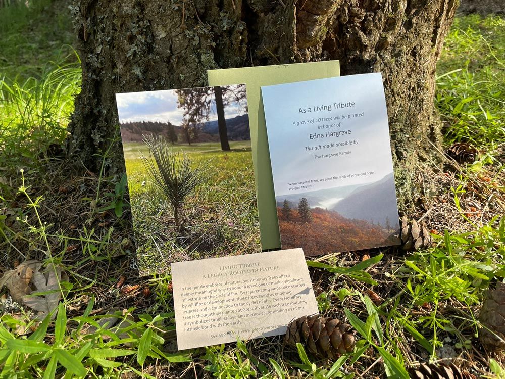 Great River Natural Burial living tree tribute card