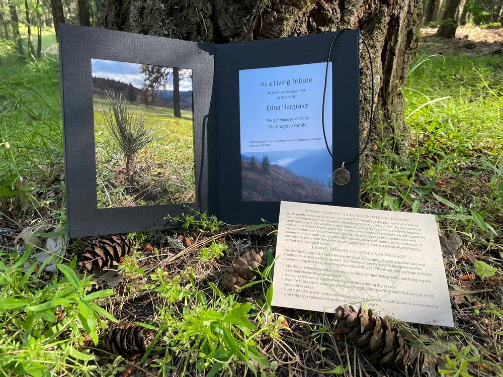 Memorial living tree tribute and custom care package card