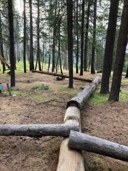 tree park log highway leading to log teeter totter