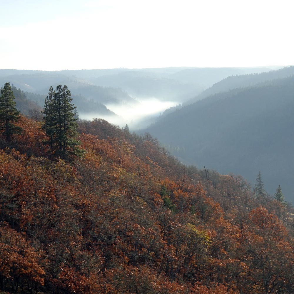 Columbia River Gorge view from Great River