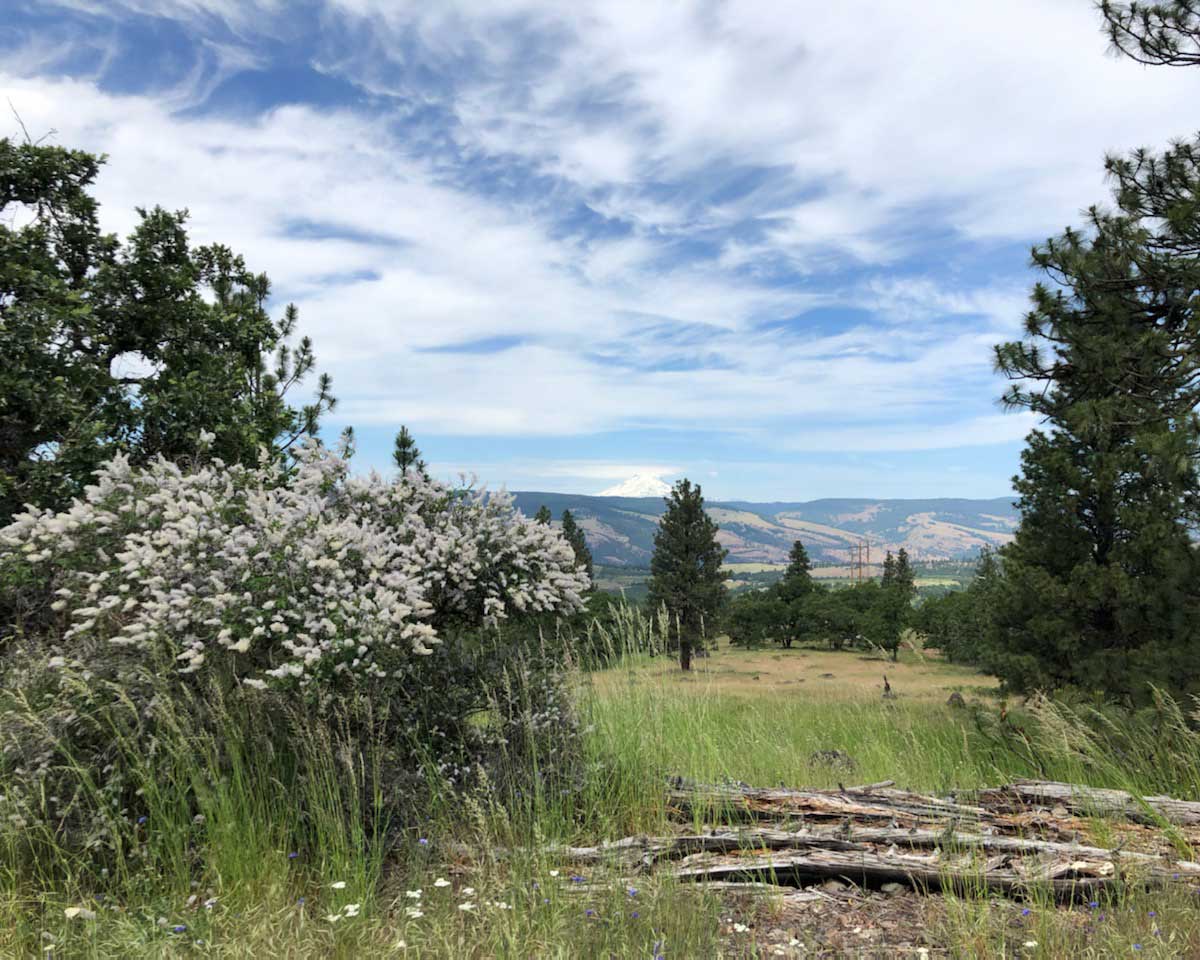 feathery cirrus clouds over Great River