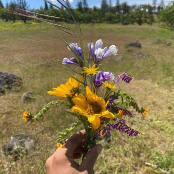 hand holding wildflower bouquet in meadow