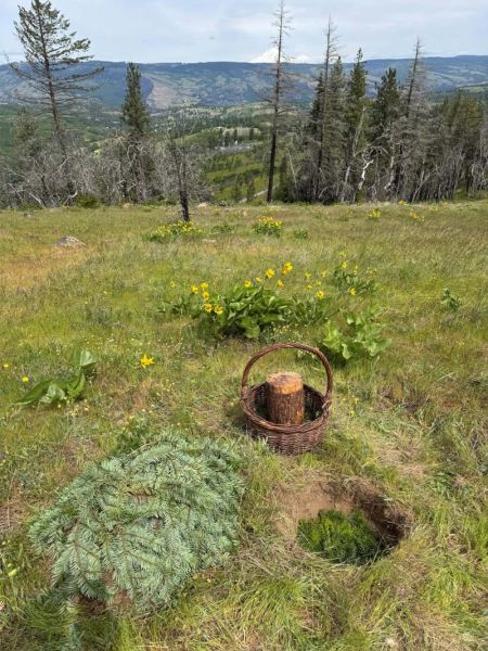 pet scattering meadow for cremated or composted pet remains at Paws in Peace pet cemetery located at Great River Natural Burial Ground in Mosier, Oregon