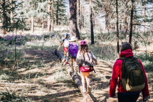 children at day camp walk on log during forest trail hike