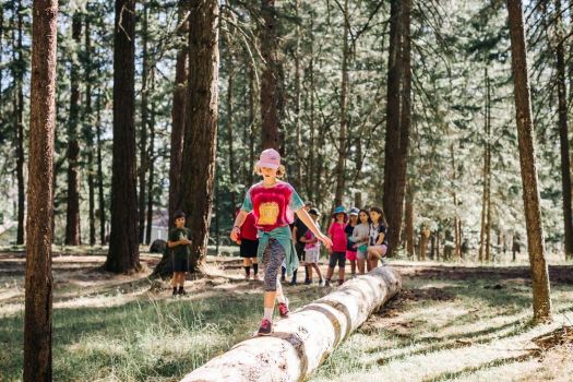 Traversing the log highway